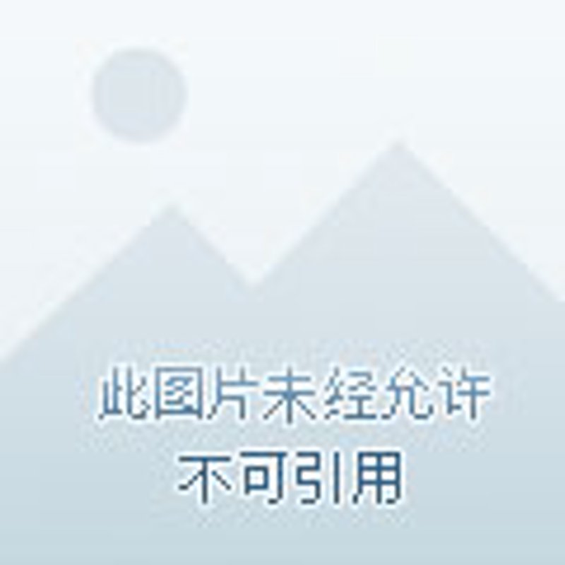 宜家粮油：引领未来厨房新风尚